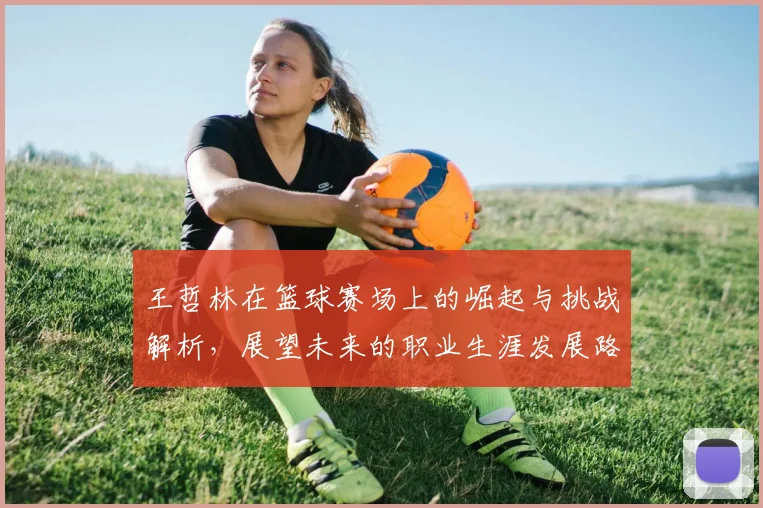 王哲林在篮球赛场上的崛起与挑战解析，展望未来的职业生涯发展路径
