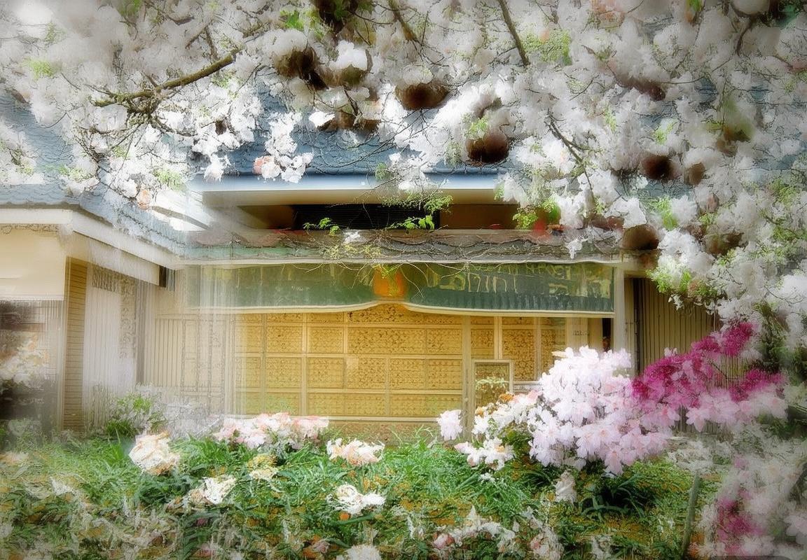 2023年2月12日广东VS浙江篮球赛精彩回顾与分析(图2)